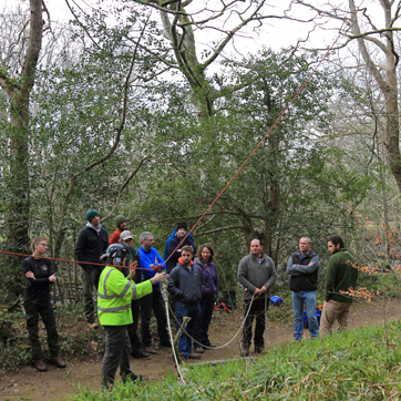 Chainsaw Safety Best Practice Training