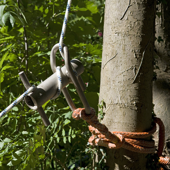 The Essential Gear Guide for Basic Rigging for Arborists - Landmark Trading