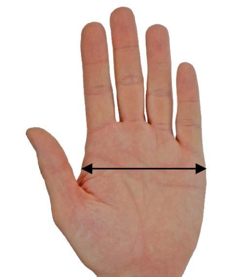How to measure your hand for workwear gloves