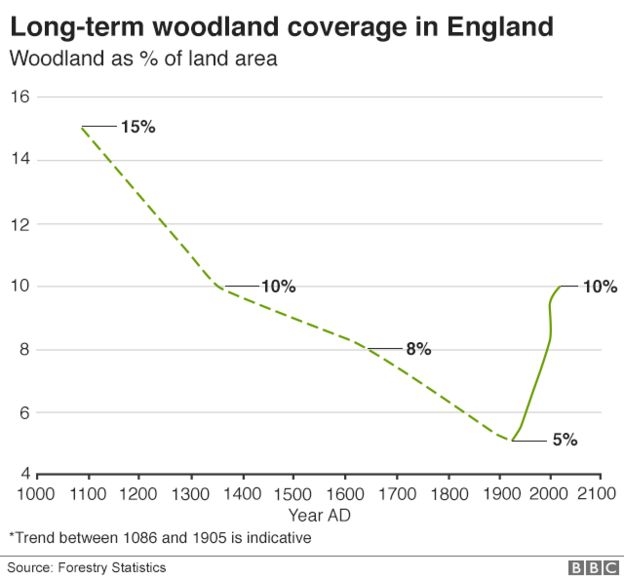 Long term woodland cover England