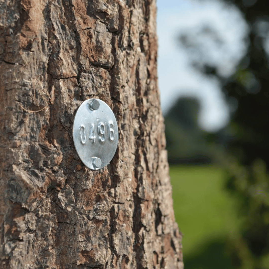 Tree Tags – Unpacking The Options - Landmark Trading