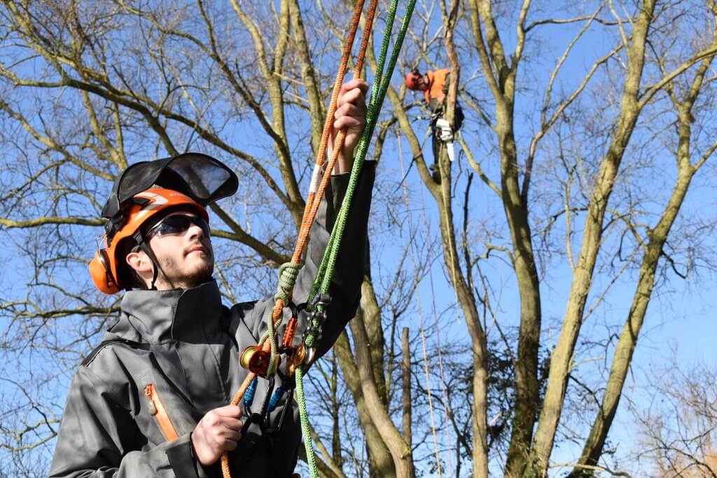 Arborist Equipment, Tree Surgeon Tools & Tree Climbing Gear UK